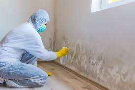 Best Residential Mold Inspection & Testing in USA